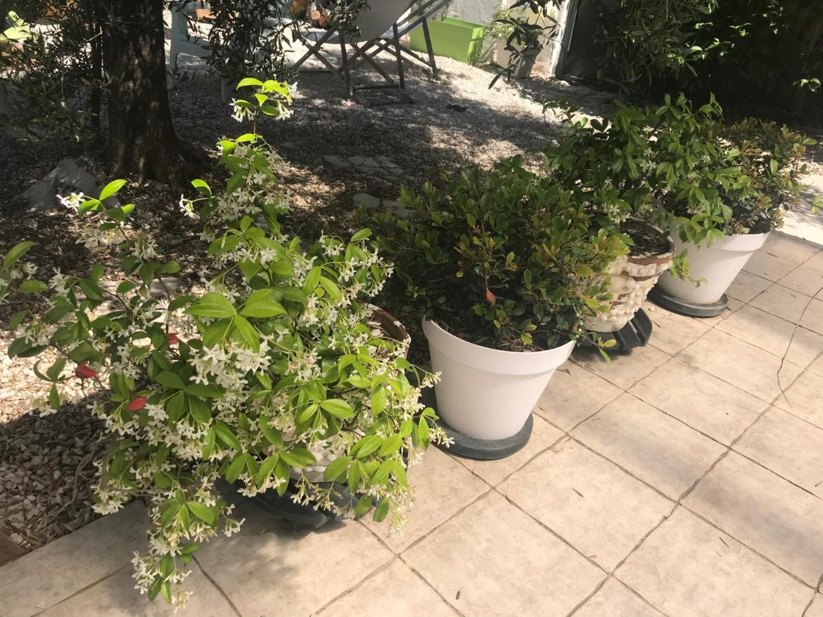 Chambres D'Hotes Les Oliviers - Marignane Exterior foto