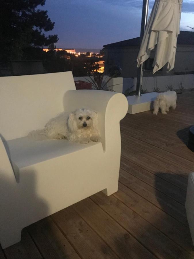 Chambres D'Hotes Les Oliviers - Marignane Exterior foto